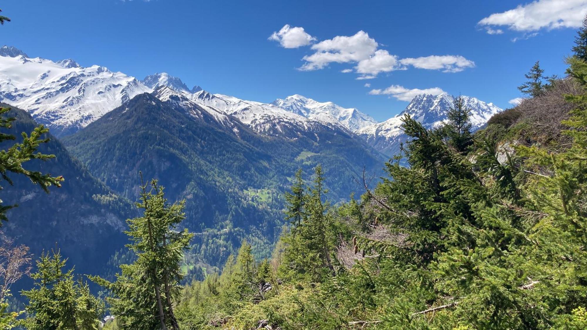 Bel Appartement 2.5 Pieces Avec Balcon, Magnifique Vue Sur Le Glacier Des Grands Finhaut Eksteriør billede